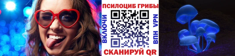 кракен   наркота  Чадан  Галлюциногенные грибы Psilocybe 